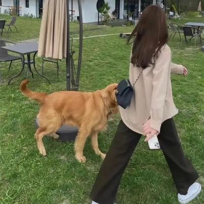 爱情治愈
